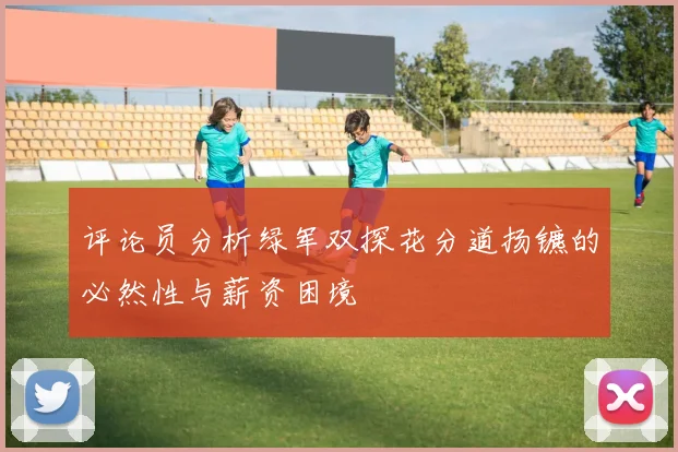 评论员分析绿军双探花分道扬镳的必然性与薪资困境