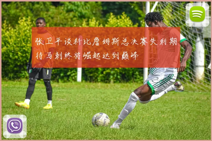 张卫平谈科比詹姆斯总决赛失利期待马刺终将崛起达到巅峰